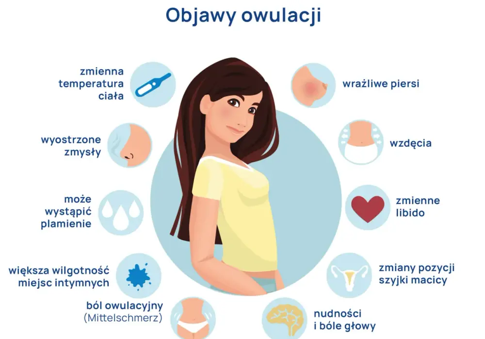 Czy owulacja jest co miesiąc? Odkryj, co wpływa na jej regularność