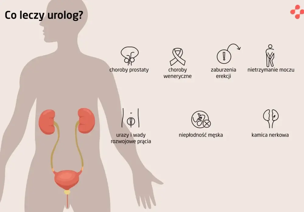 Urolog lekarz od czego? Poznaj choroby, które leczy i objawy