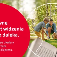 Ile kosztują okulary progresywne w Vision Express? Ceny i opcje