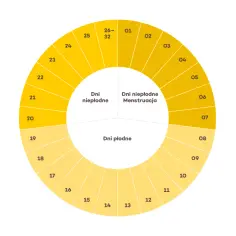 Jak obliczyć dni płodne w czasie menopauzy i uniknąć niechcianej ciąży