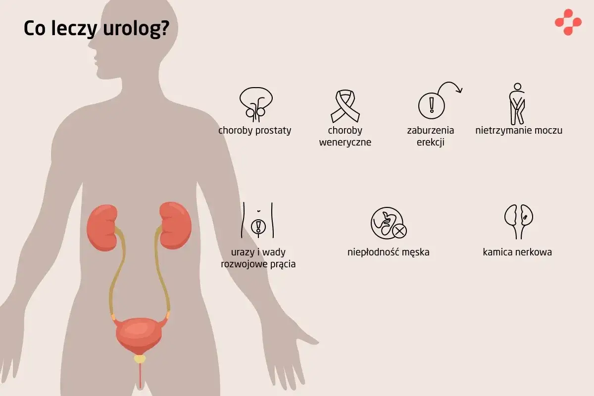 Zdjęcie Od czego jest urolog i czym się zajmuje? Poznaj ważne informacje