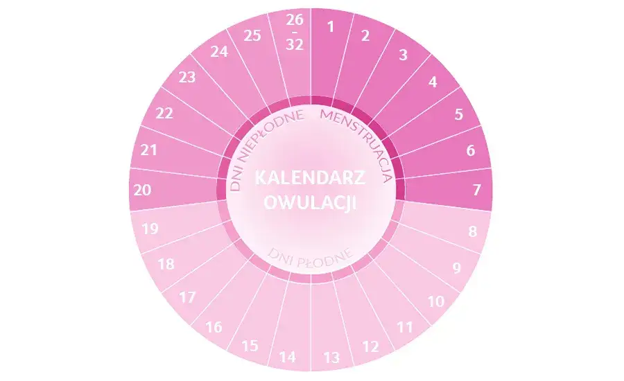 Zdjęcie Jak obliczyć dni płodne w czasie menopauzy i uniknąć niechcianej ciąży